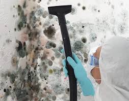 Fort Walton Beach, FL Mold Inspection Company